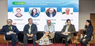 IA y sustentabilidad marcaron el debate en seminario alimentario en Puerto Varas