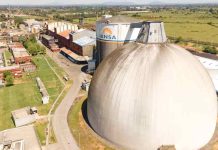 Iansa decide no comprar remolacha local y productores califican la decisión como el "tiro de gracia para temporada agrícola"