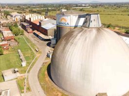 Iansa decide no comprar remolacha local y productores califican la decisión como el "tiro de gracia para temporada agrícola"