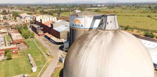 Iansa decide no comprar remolacha local y productores califican la decisión como el "tiro de gracia para temporada agrícola"