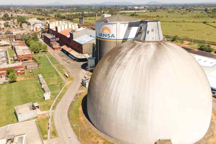 Iansa decide no comprar remolacha local y productores califican la decisión como el 