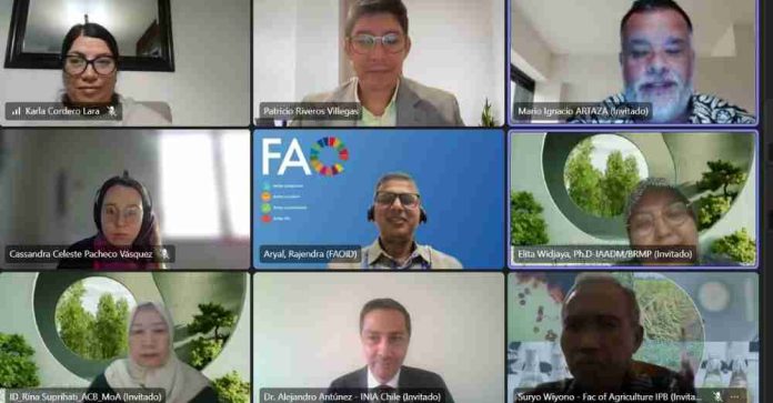 INIA Chile comparte con Indonesia avances en producción de arroz climáticamente inteligente