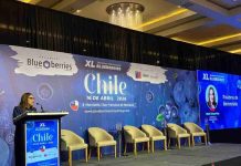 INIA advierte nueva etapa para la industria del arándano: foco en calidad, eficiencia y diferenciación