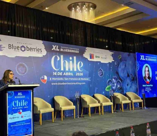 INIA advierte nueva etapa para la industria del arándano: foco en calidad, eficiencia y diferenciación