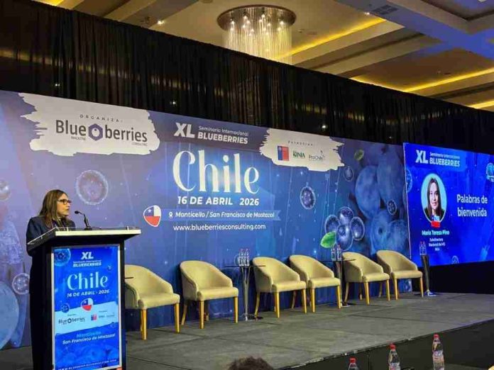 INIA advierte nueva etapa para la industria del arándano: foco en calidad, eficiencia y diferenciación