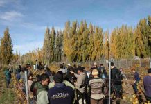 INIA difunde en la cuenca del Lago General Carrera logros y avances en producción vitivinícola