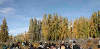 INIA difunde en la cuenca del Lago General Carrera logros y avances en producción vitivinícola