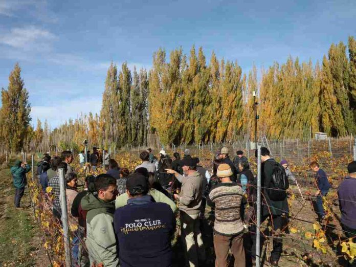 INIA difunde en la cuenca del Lago General Carrera logros y avances en producción vitivinícola