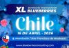INIA presente en el XL Seminario Internacional Blueberries Chile 2026 INIA presente en el XL Seminario Internacional Blueberries Chile 2026