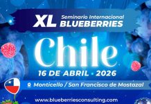 INIA presente en el XL Seminario Internacional Blueberries Chile 2026 INIA presente en el XL Seminario Internacional Blueberries Chile 2026