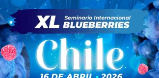 INIA presente en el XL Seminario Internacional Blueberries Chile 2026 INIA presente en el XL Seminario Internacional Blueberries Chile 2026