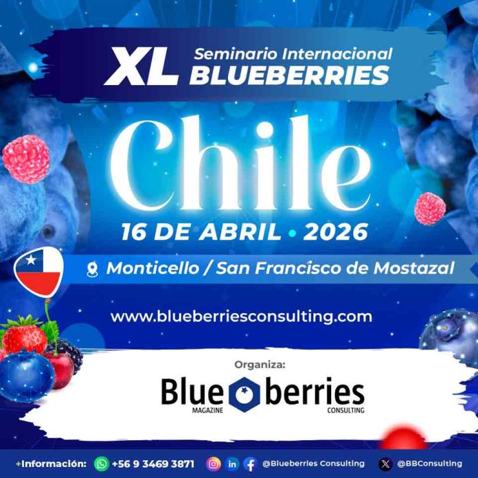 INIA presente en el XL Seminario Internacional Blueberries Chile 2026