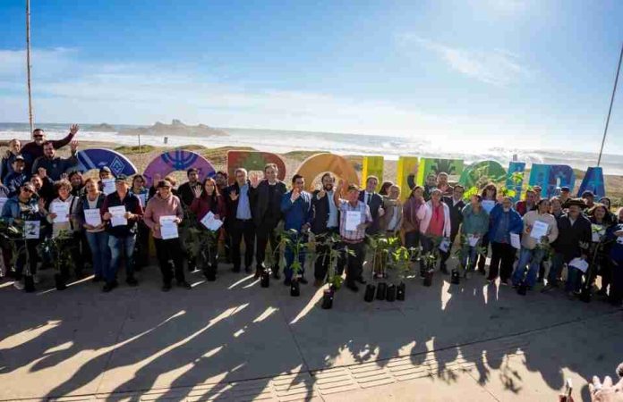 Impulsan recuperación del sector papayero en la costa de Ñuble con entrega de más de 2.700 plantas 