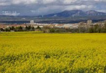 Incertidumbre extrema en los mercados agrícolas por la tensión en Oriente Medio