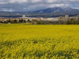 Incertidumbre extrema en los mercados agrícolas por la tensión en Oriente Medio