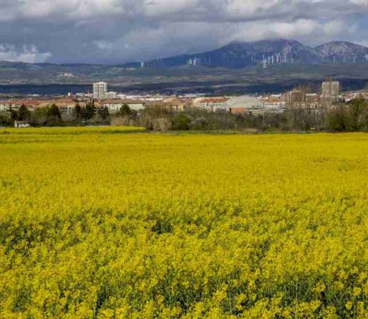 Incertidumbre extrema en los mercados agrícolas por la tensión en Oriente Medio