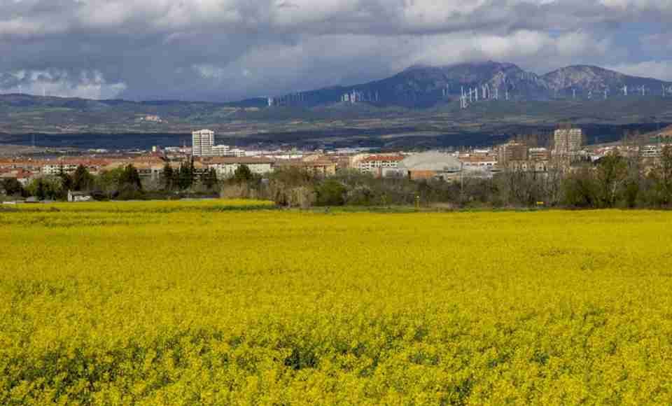 Incertidumbre extrema en los mercados agrícolas por la tensión en Oriente Medio
