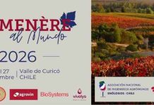Inscripciones abiertas con precios rebajados para Carmenère al Mundo 2026