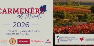 Inscripciones abiertas con precios rebajados para Carmenère al Mundo 2026