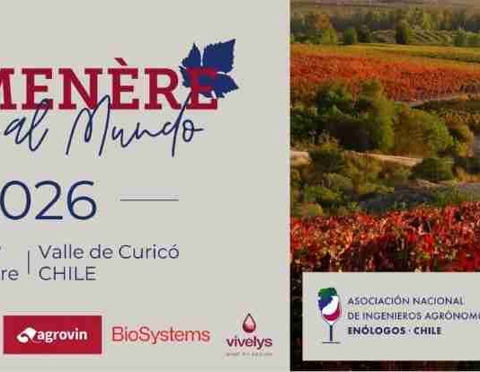 Inscripciones abiertas con precios rebajados para Carmenère al Mundo 2026