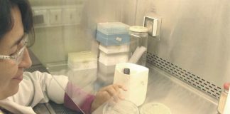 Investigación Usach impulsa plataforma biotecnológica para innovar en la industria de levaduras, reducir dependencia externa y abrir oportunidades de negocio