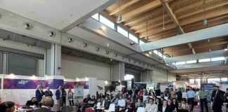 Italia | Fresas 2026: actualización del mercado, variedades y calidad