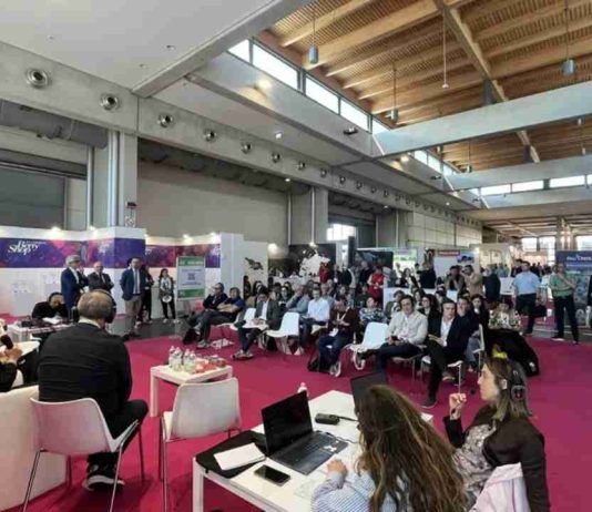 Italia | Fresas 2026: actualización del mercado, variedades y calidad