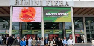Italia: Frutas de Chile fortalece su proyección internacional con destacada participación en Macfrut 2026