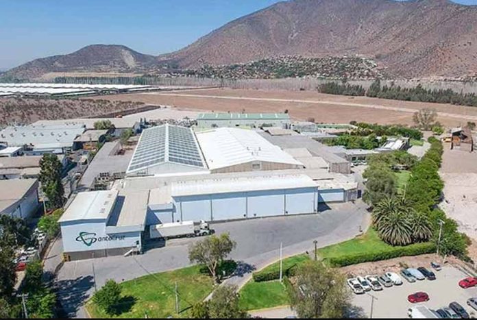 Justicia decreta la quiebra de Exportadora Santa Cruz tras 35 años de trayectoria