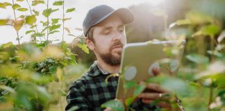 La Agricultura del Futuro: Innovaciones y Desafíos