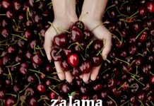 La Agrupación de Cooperativas Valle del Jerte prevé una campaña de cereza 2026 con mayor producción y excelente calidad