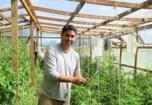 La Araucanía avanza hacia una agricultura más sustentable con más de 100 agricultores en proceso de transición agroecológica