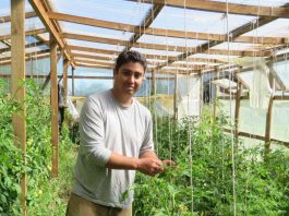 La Araucanía avanza hacia una agricultura más sustentable con más de 100 agricultores en proceso de transición agroecológica