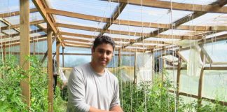 La Araucanía avanza hacia una agricultura más sustentable con más de 100 agricultores en proceso de transición agroecológica