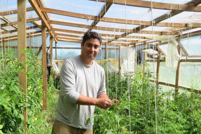 La Araucanía avanza hacia una agricultura más sustentable con más de 100 agricultores en proceso de transición agroecológica La Araucanía avanza hacia una agricultura más sustentable con más de 100 agricultores en proceso de transición agroecológica