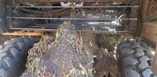 La industria del tomate toma medidas para detener la propagación de malezas parásitas.