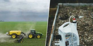 La mayoría de fertilizantes vienen del Golfo Pérsico y son clave para los alimentos: la suma de ambos anticipa turbulencias La mayoría de fertilizantes vienen del Golfo Pérsico y son clave para los alimentos: la suma de ambos anticipa turbulencias