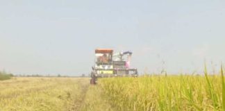 La otra cara de la guerra la escasez y la subida de precios ahogan la agricultura en Asia