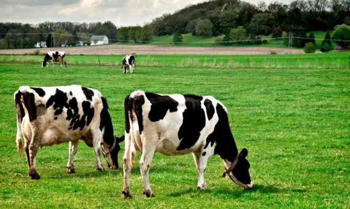 Lanzamiento del nuevo Centro de Información Láctea busca fortalecer la competitividad del sector