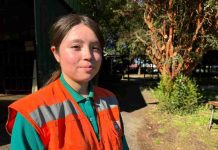 Lanzan programa Futuro Forestal para formar jóvenes innovadores en la industria forestal regional