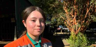 Lanzan programa Futuro Forestal para formar jóvenes innovadores en la industria forestal regional Lanzan programa Futuro Forestal para formar jóvenes innovadores en la industria forestal regional