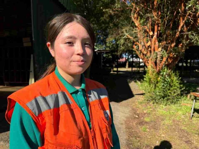 Lanzan programa Futuro Forestal para formar jóvenes innovadores en la industria forestal regional