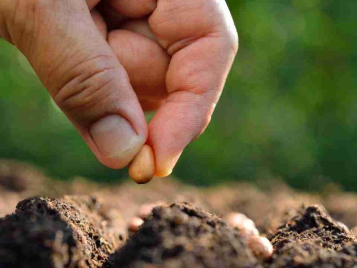 Lanzan programa que impulsará tecnologías para enfrentar el cambio climático en la industria de la semilla