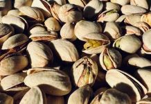 Las exportaciones estadounidenses de pistachos a China se desploman un 96% Las exportaciones estadounidenses de pistachos a China se desploman un 96%