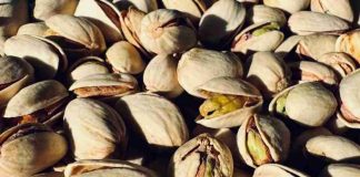 Las exportaciones estadounidenses de pistachos a China se desploman un 96% Las exportaciones estadounidenses de pistachos a China se desploman un 96%