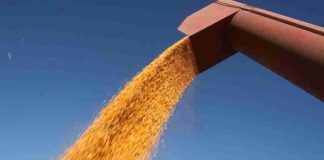 Los precios en los mercados agrícolas suben ante la perspectiva de un conflicto largo