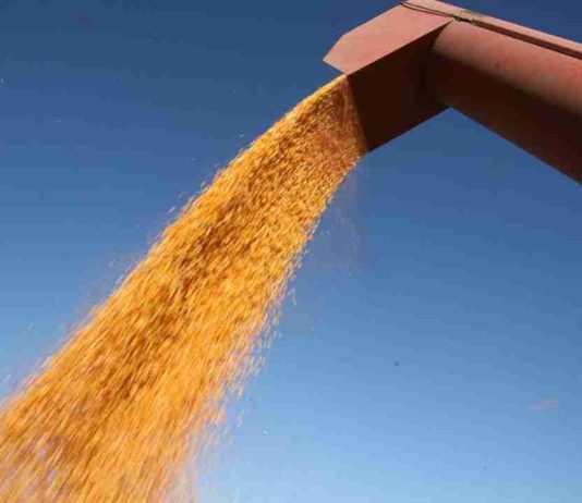 Los precios en los mercados agrícolas suben ante la perspectiva de un conflicto largo