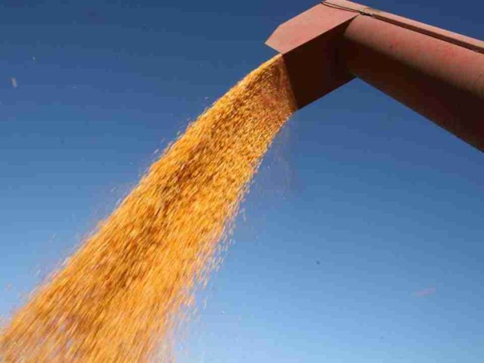 Los precios en los mercados agrícolas suben ante la perspectiva de un conflicto largo