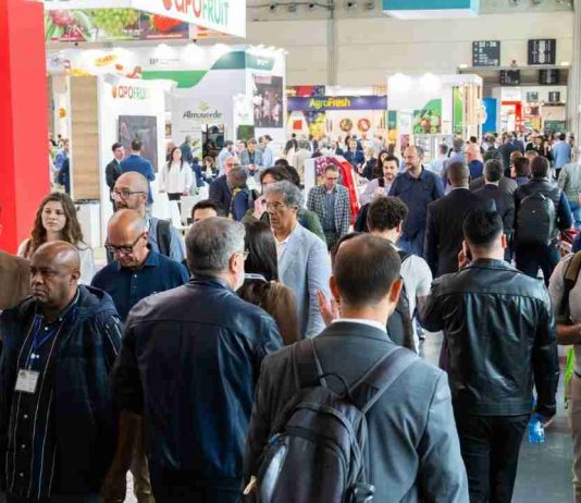 Macfrut 2026, punto de encuentro mundial del sector hortofrutícola