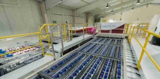 Maf Roda integra algoritmos de IA a toda su gama de frutas y hortalizas y refuerza la automatización para cereza